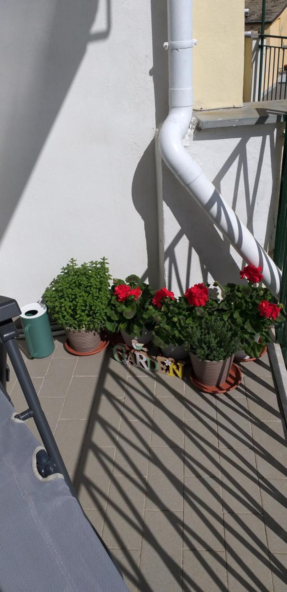 Aa Ciasea Duu Pintuu Appartement Riomaggiore Buitenkant foto